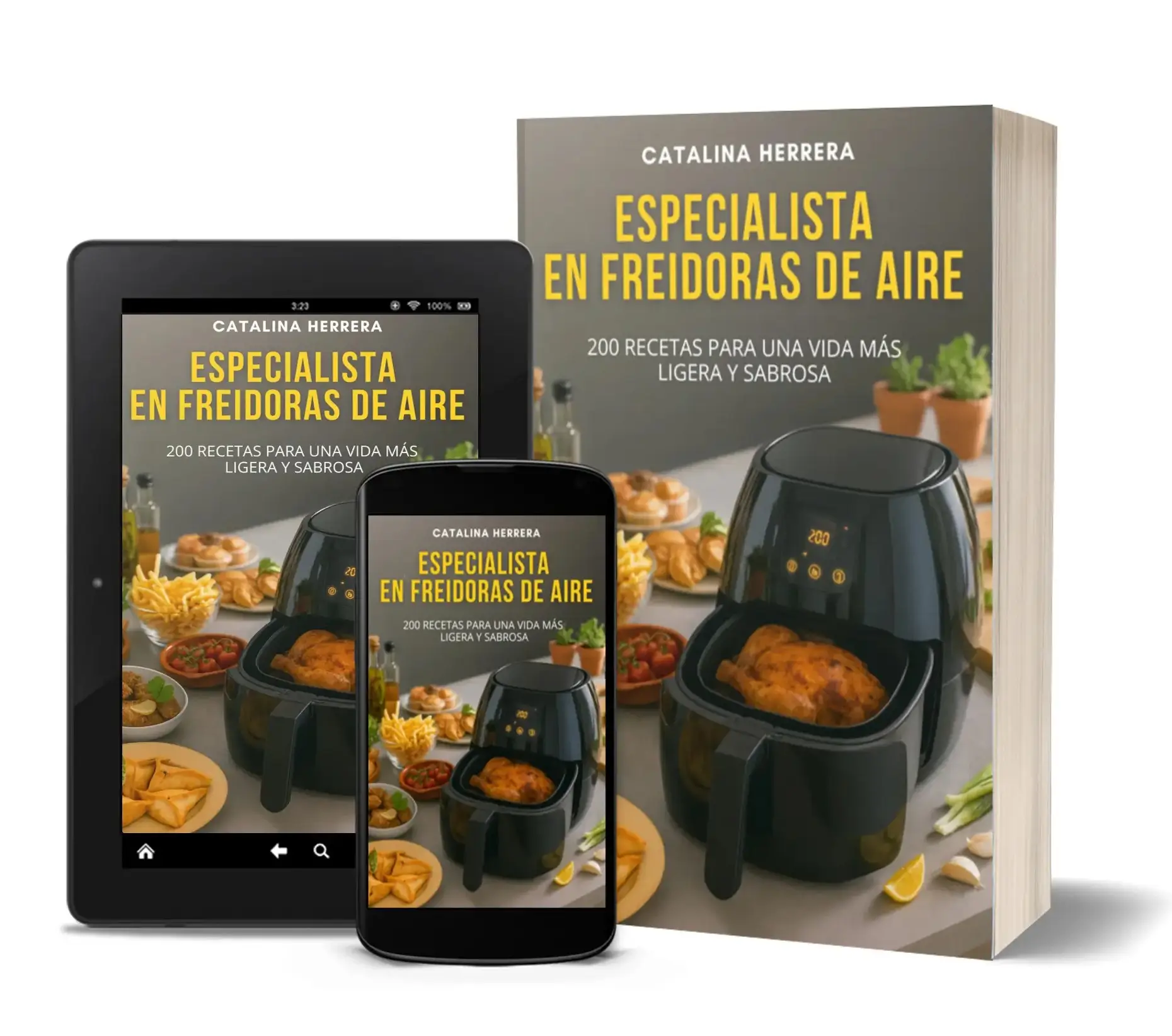 Especialista en freidoras de aire (1)